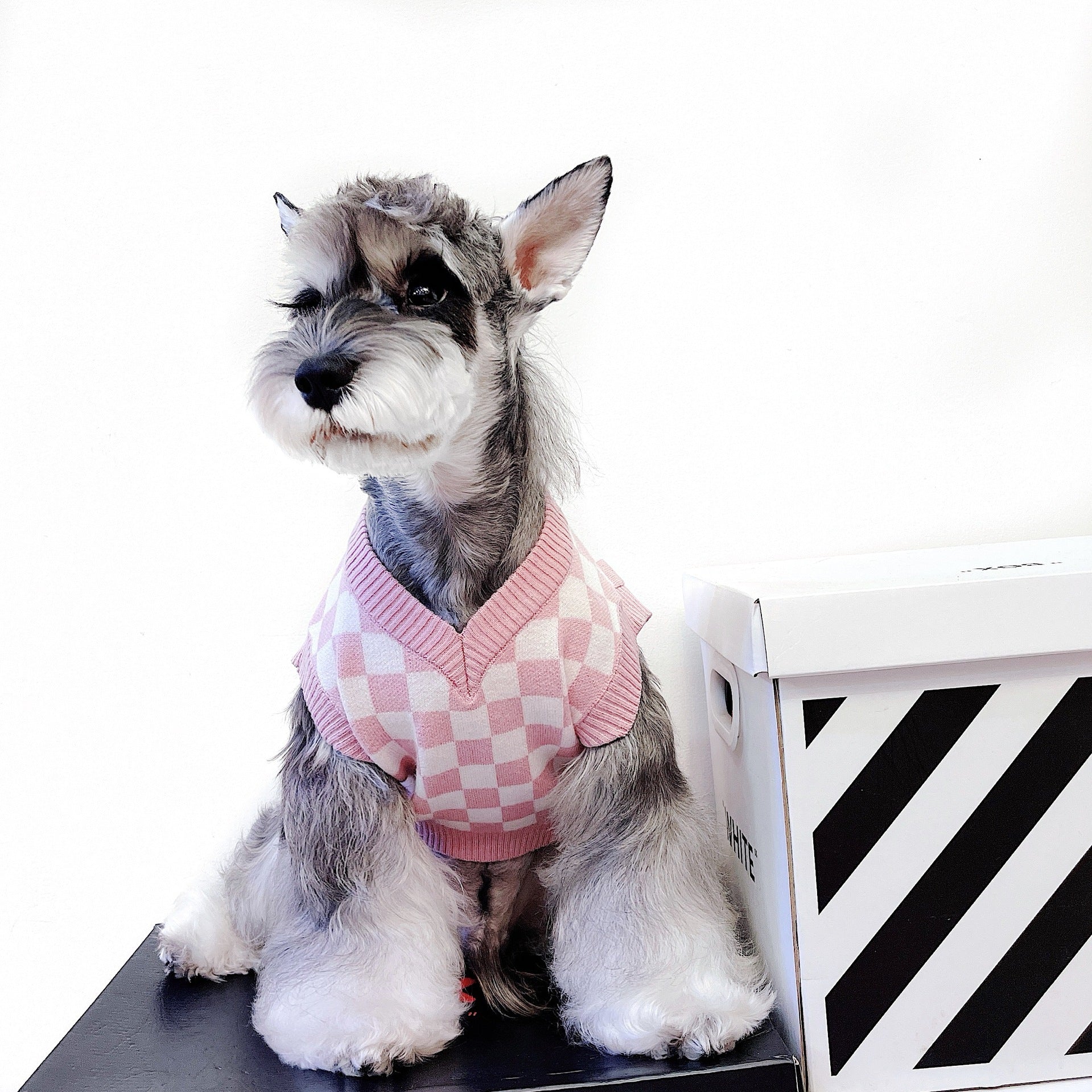 Wrap Your Pet in Style and Comfort